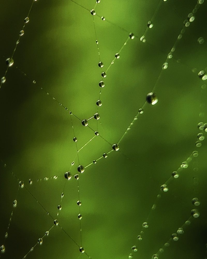 Photograph by Татьяна Соколовская