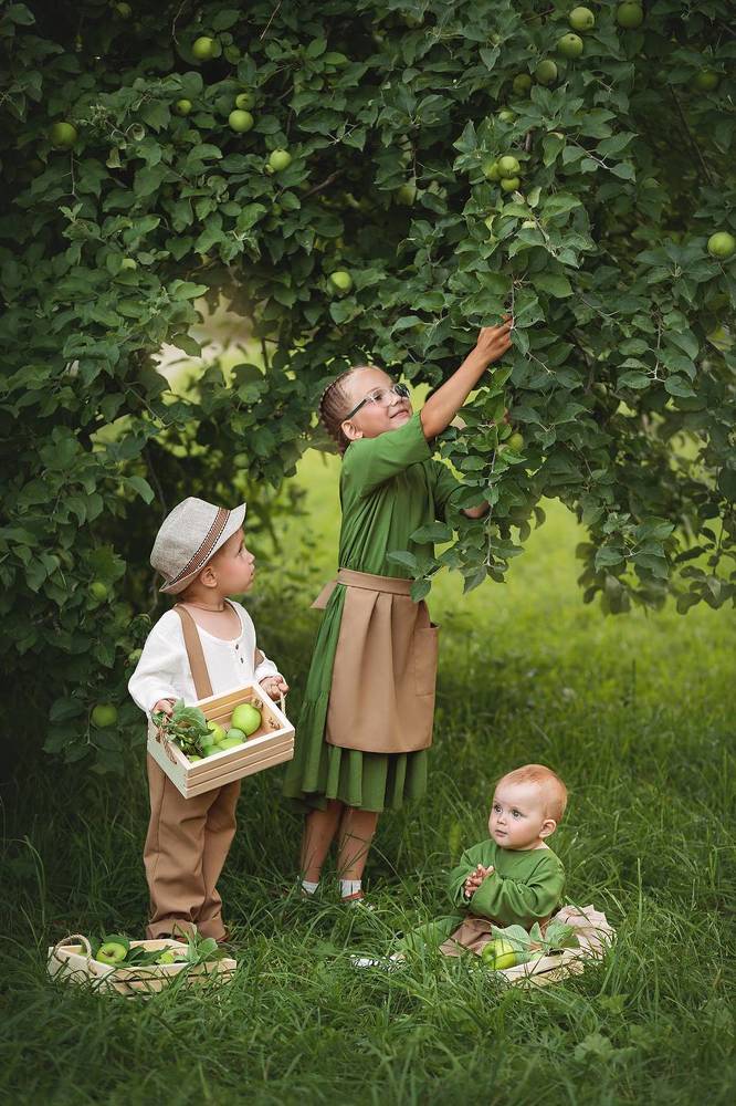 про яблочки...