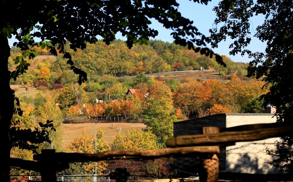 Фотография автора Larisa Tabachnik