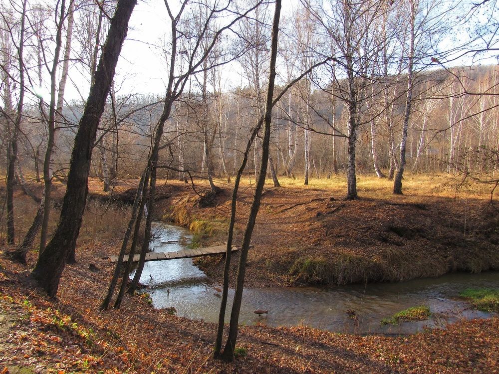 Photograph by Денис Веску