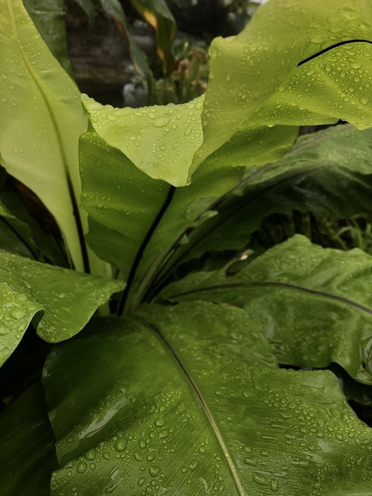 Photograph by Анастасия Козлова