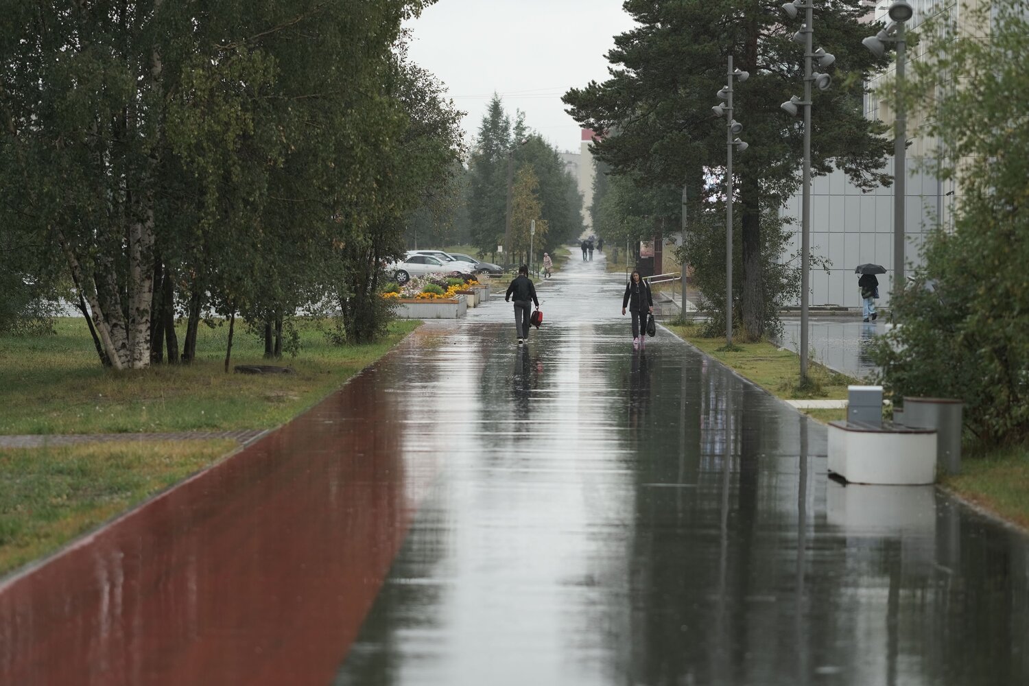 Photo #8068824