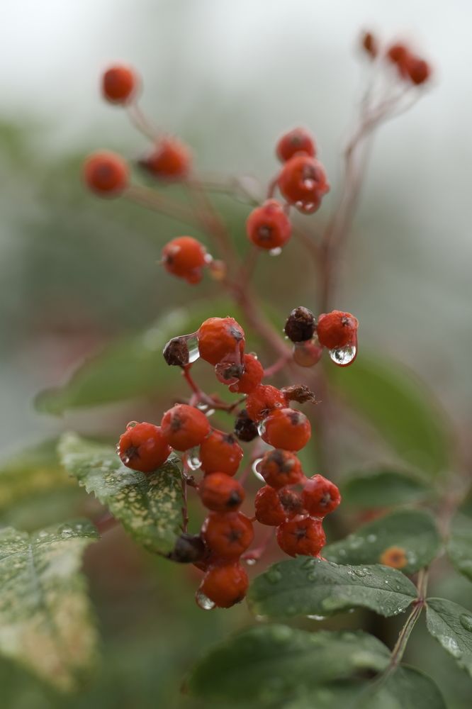 Photograph by Иван Державин