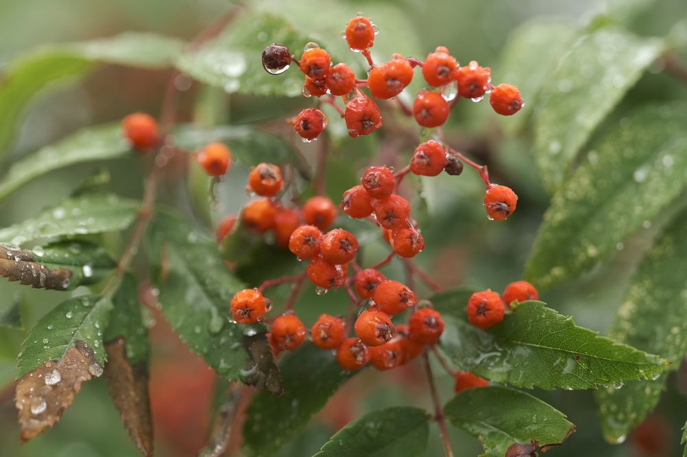 Photograph by Иван Державин