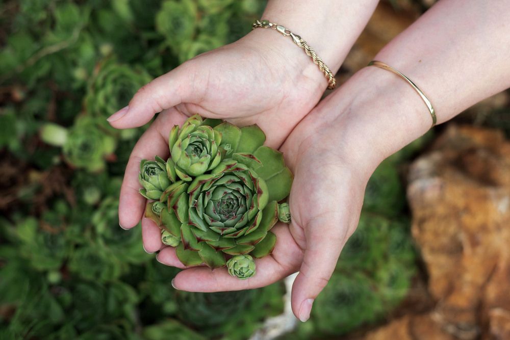 Фотография автора Екатерина Шаманаева