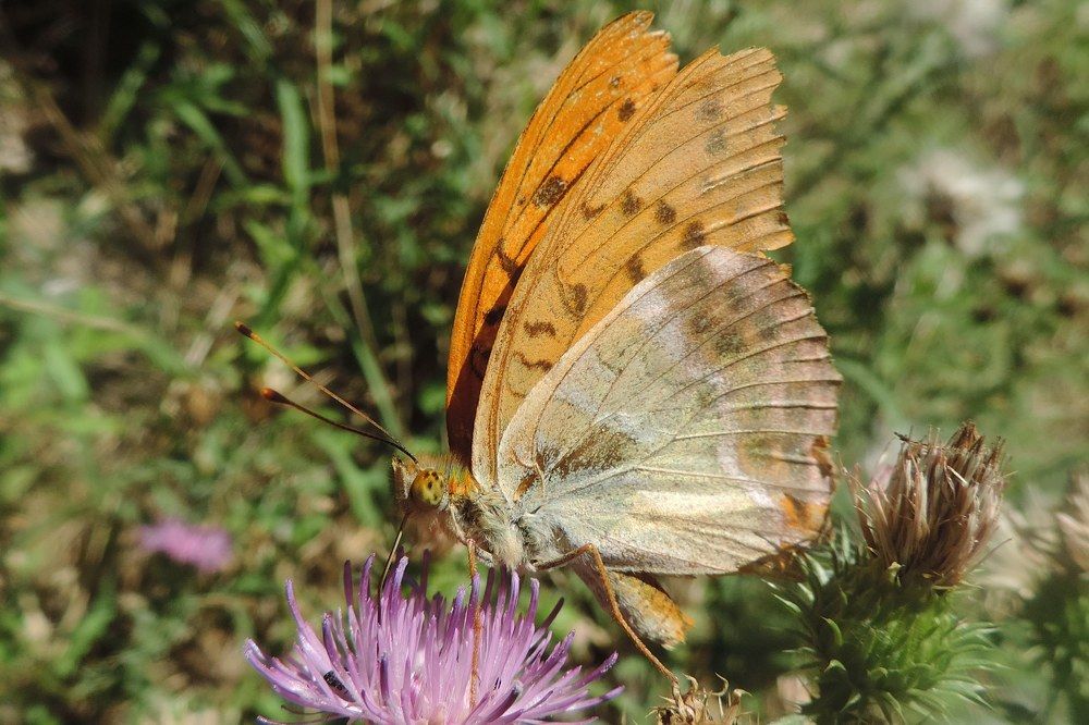 Photograph by Слађана Милојковић