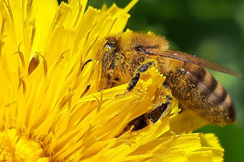 Photograph by Слађана Милојковић