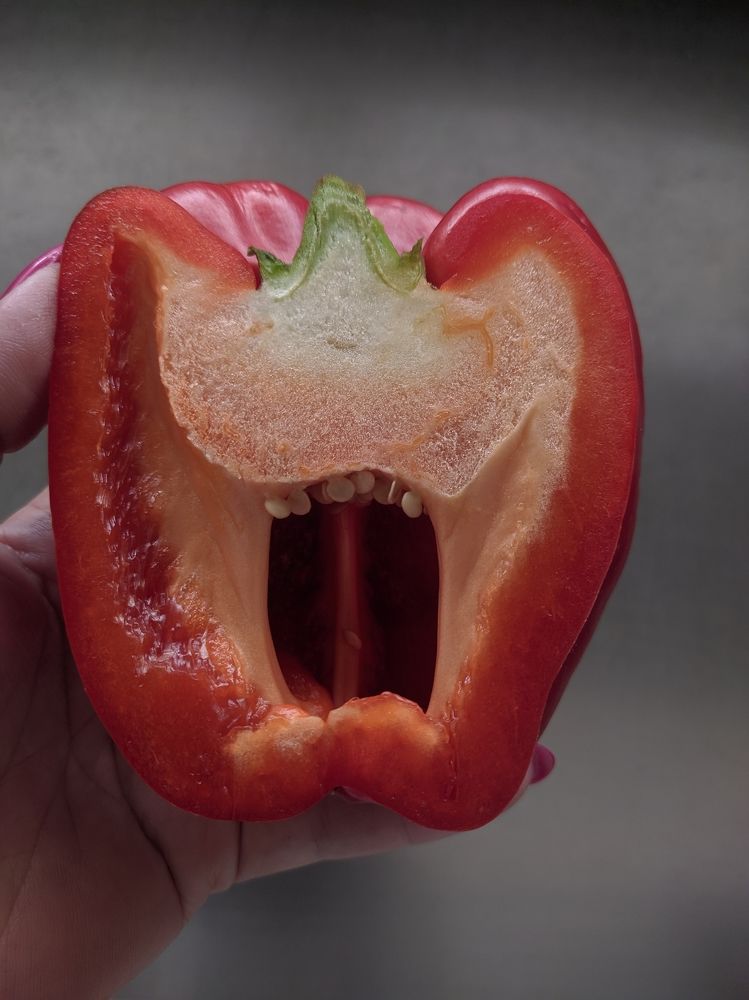 Фотография автора Наталья Синицына