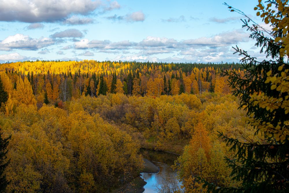 Photograph by Александр Бакин