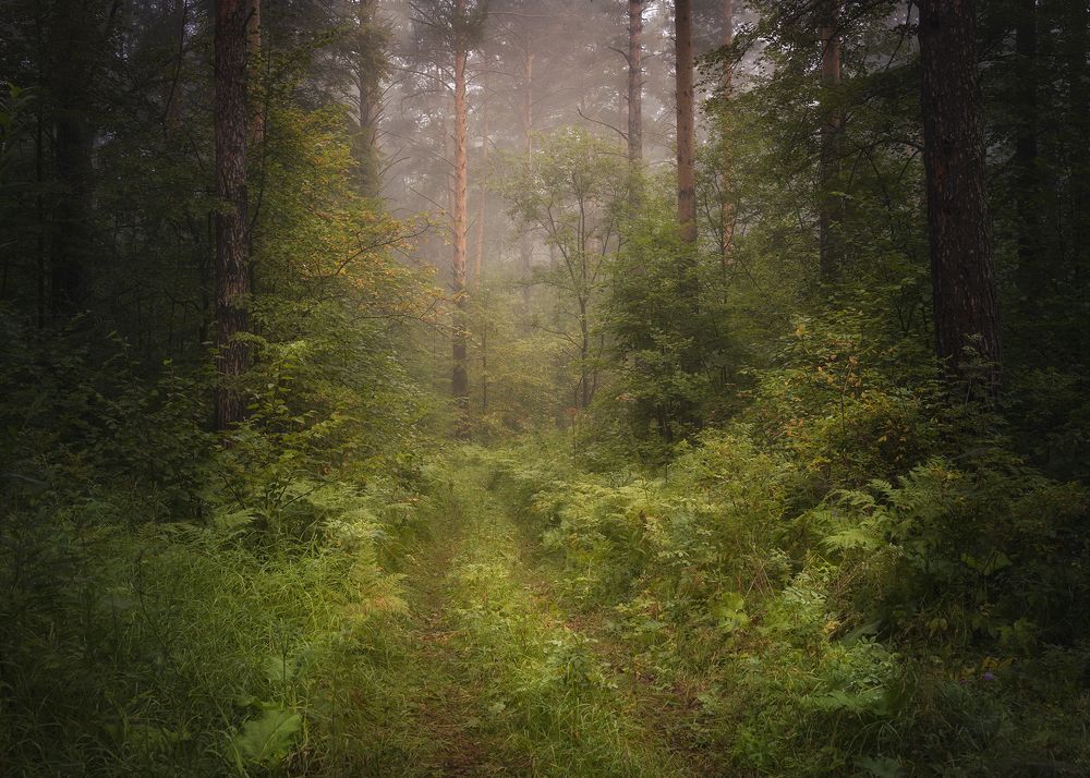 Photograph by Татьяна Бирюкова