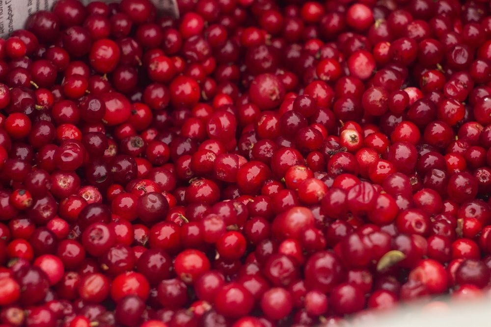 Photograph by Алексей Борисов