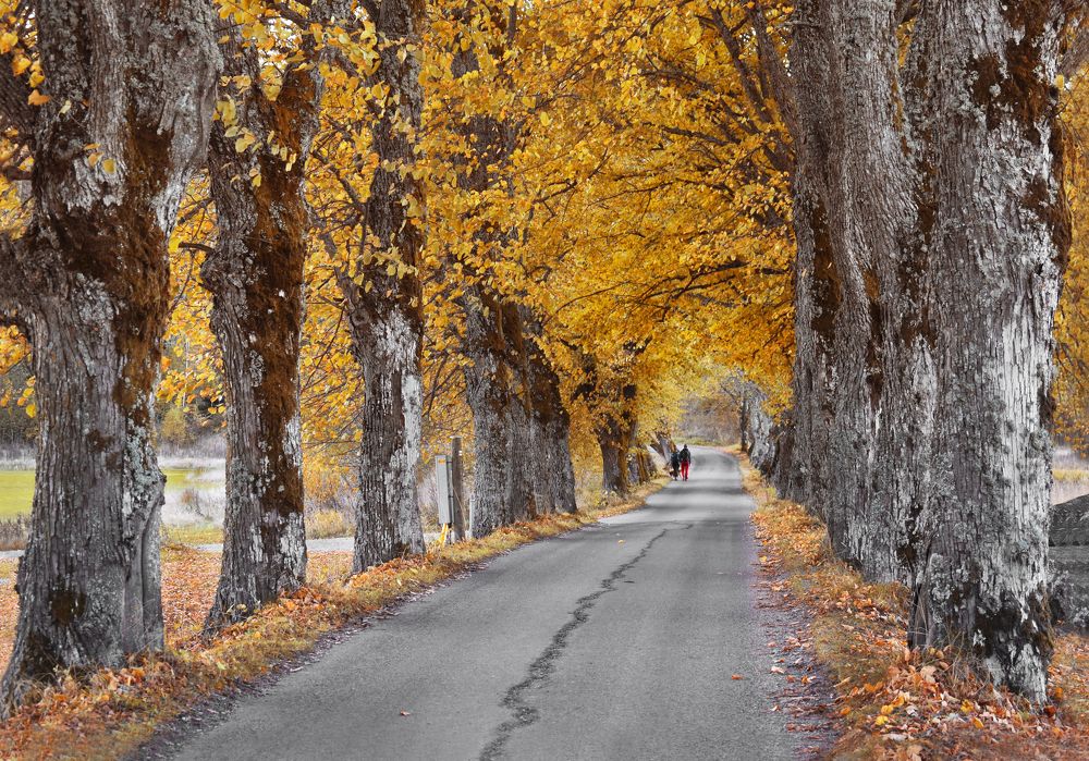 Photograph by Aušrinė Bui