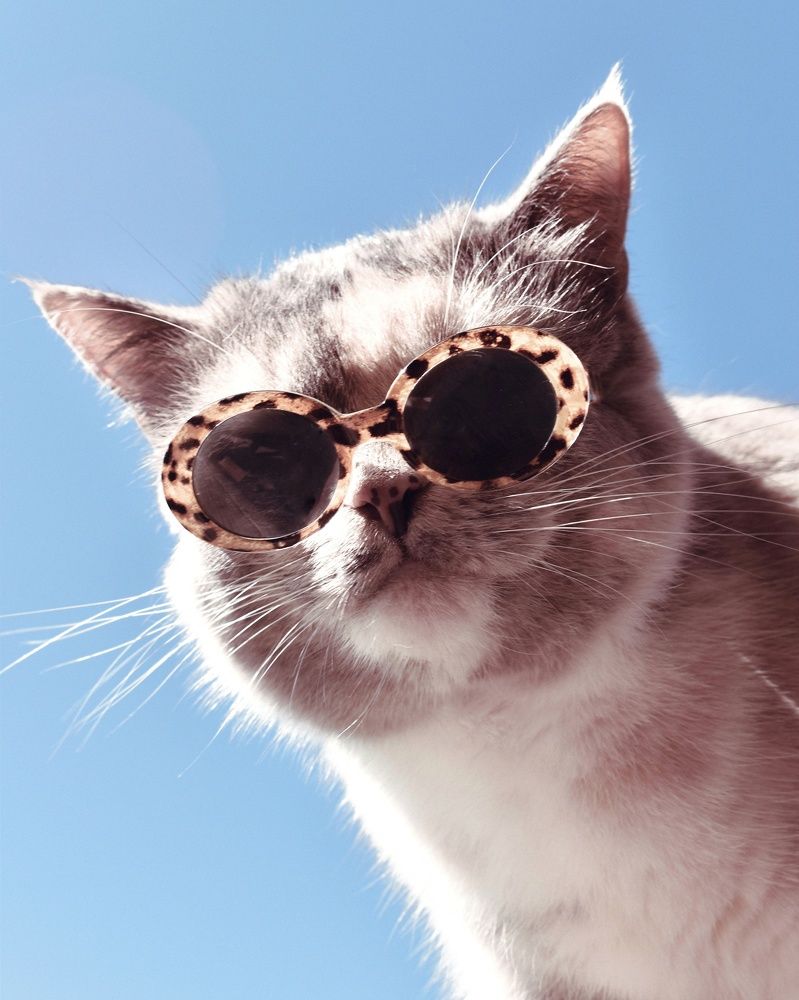 Photograph by Татьяна Носкович