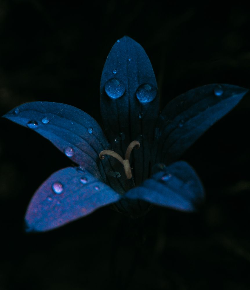 Photograph by Татьяна Носкович