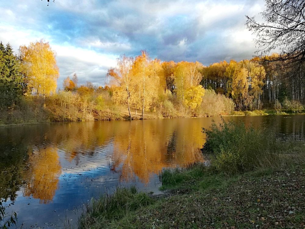 Photograph by Хитрюк Алла Васильевна