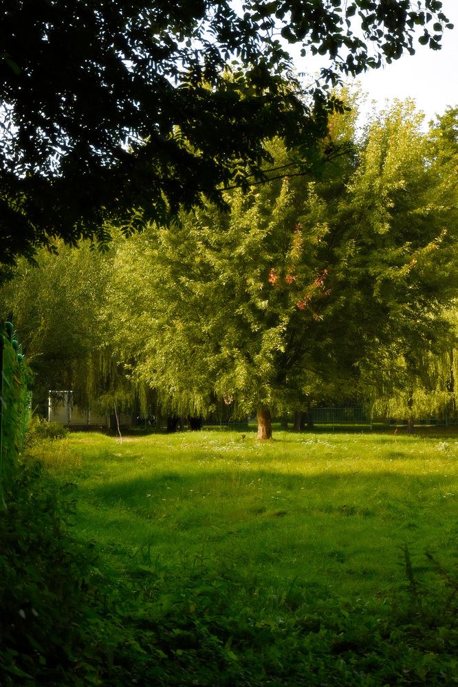 Photograph by Anton Leonchikov