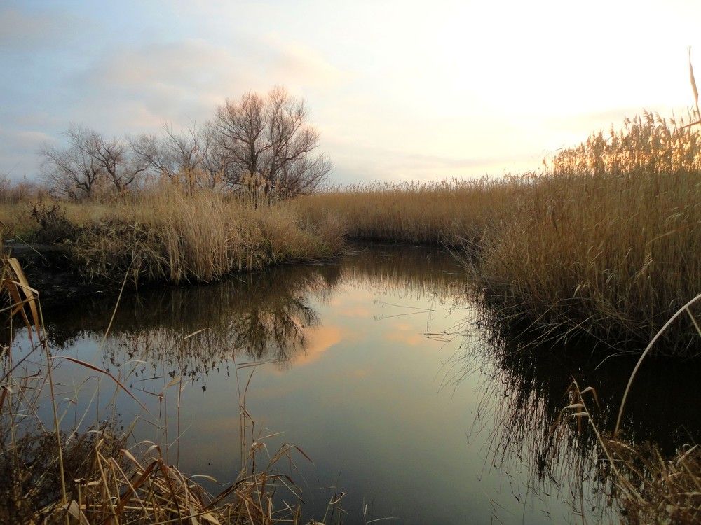 Photograph by Дмитрий Соколов