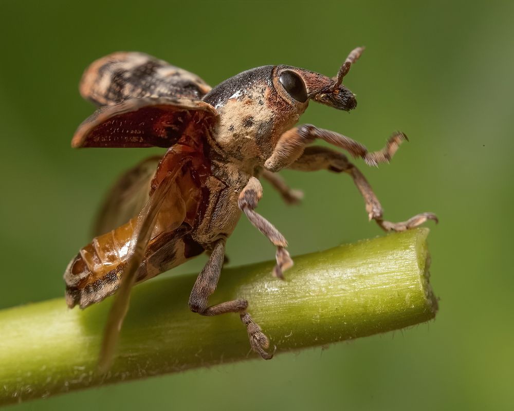 Photograph by Abolfazl Arab