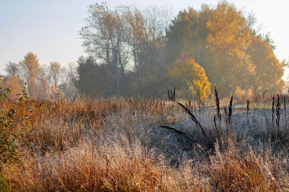 Photograph by Инна Карасева