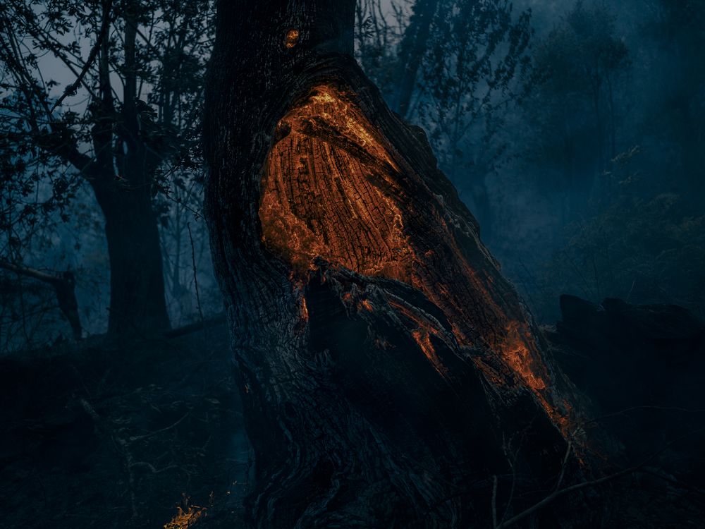 Photograph by Adra Pallón