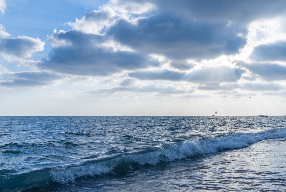 Photograph by Алина Еникеева