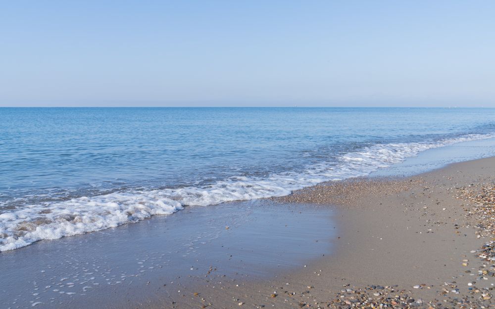 Photograph by Алина Еникеева