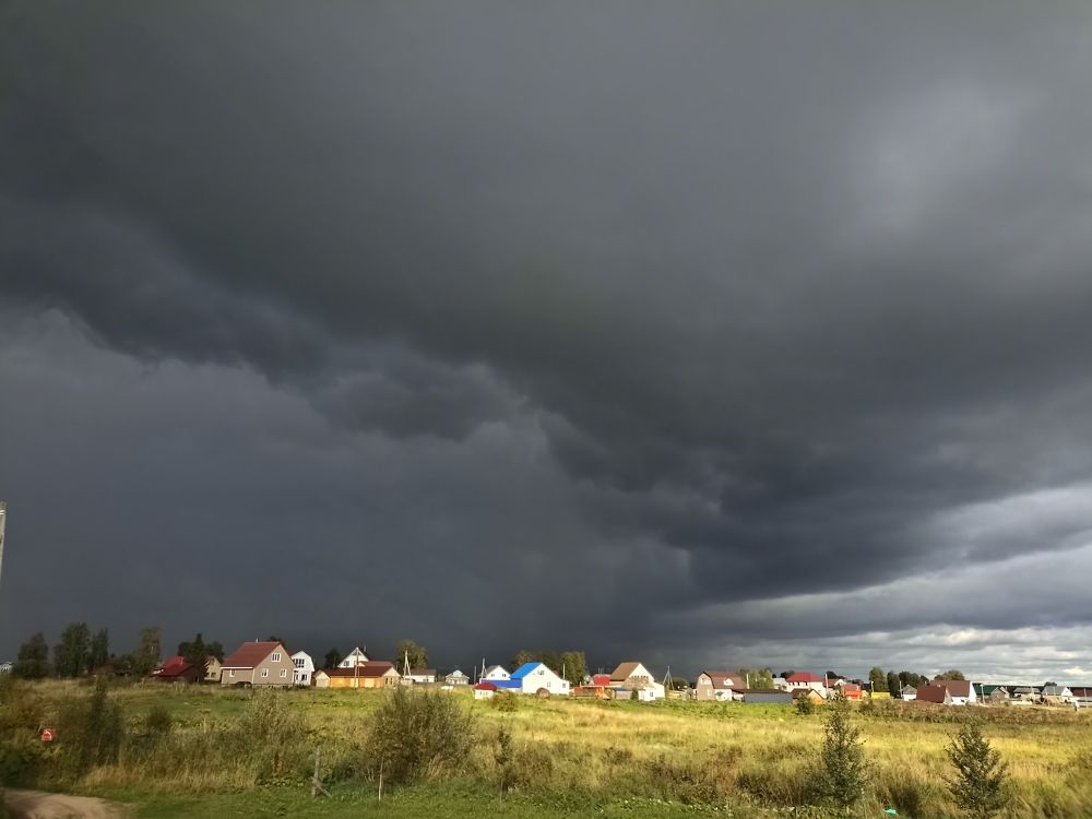 Photograph by Корень Наташа