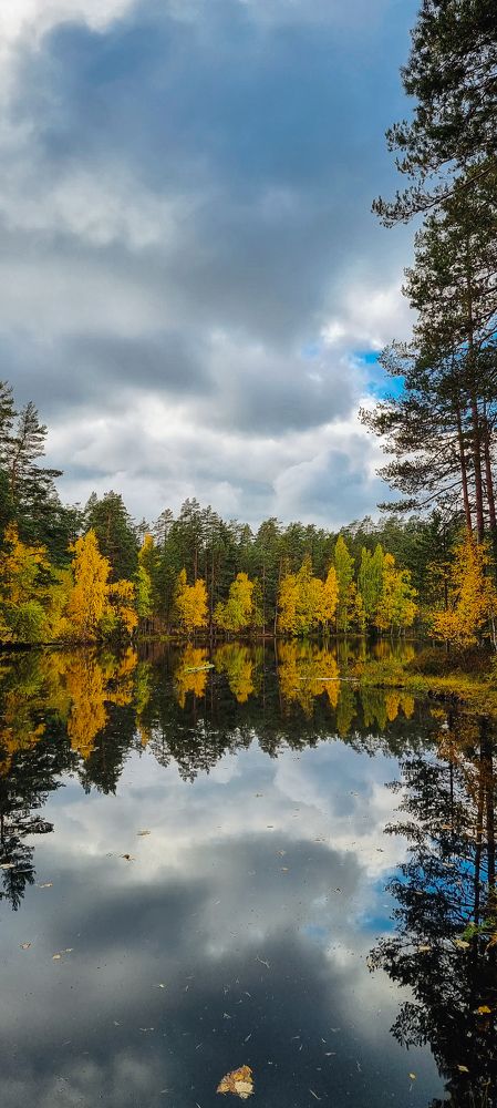 Photograph by Алёна Губинская
