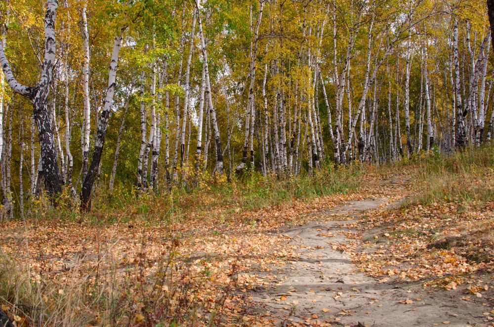 Photograph by Юрий Самойлов