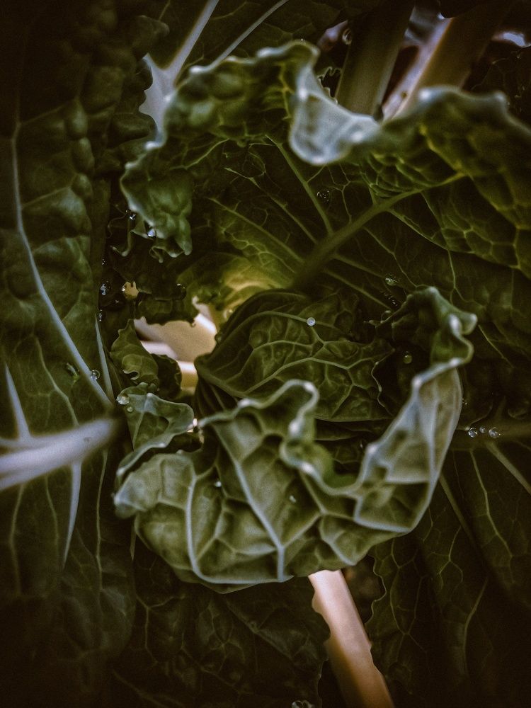 Photograph by Татьяна Смирнова