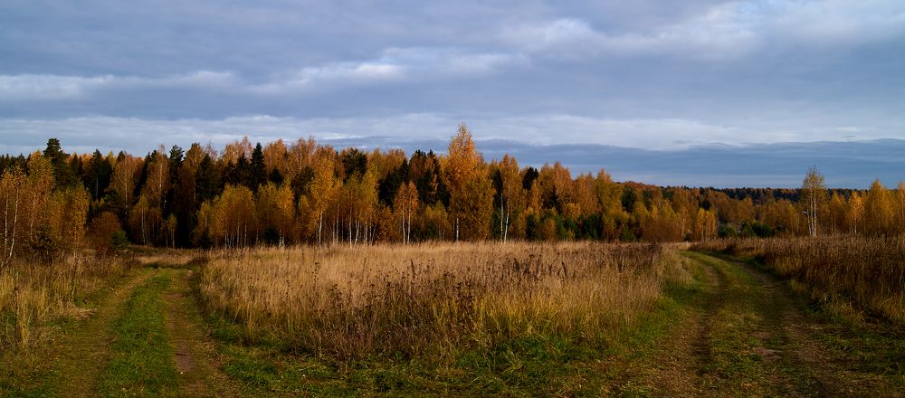 Photograph by Александр Гуреев