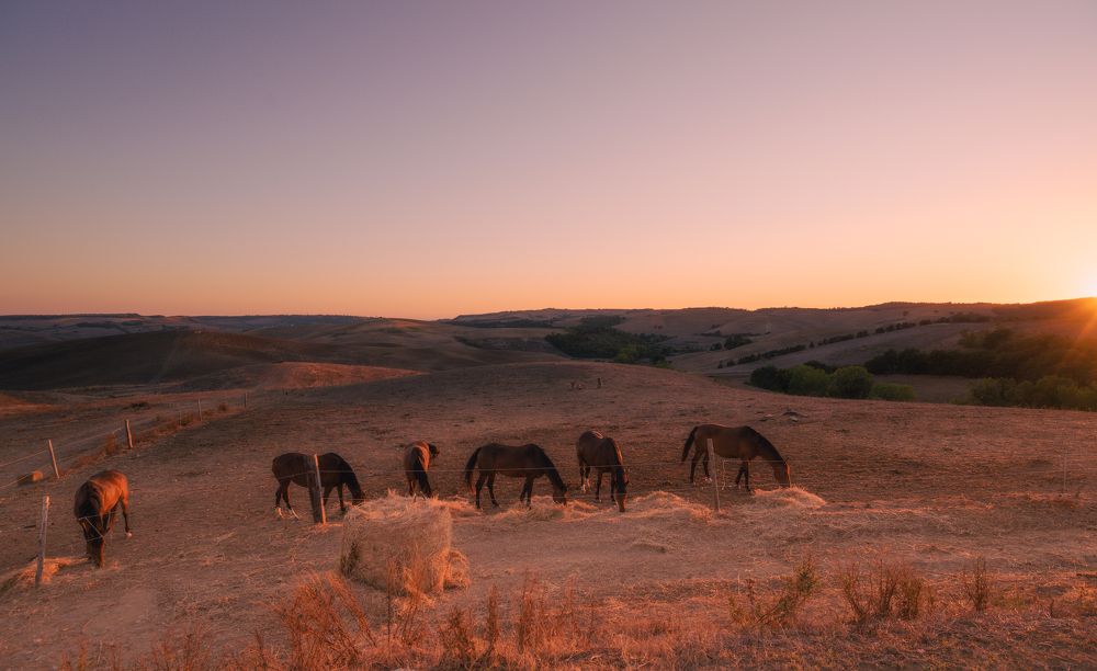 Photograph by Ludovica Maria Amodeo