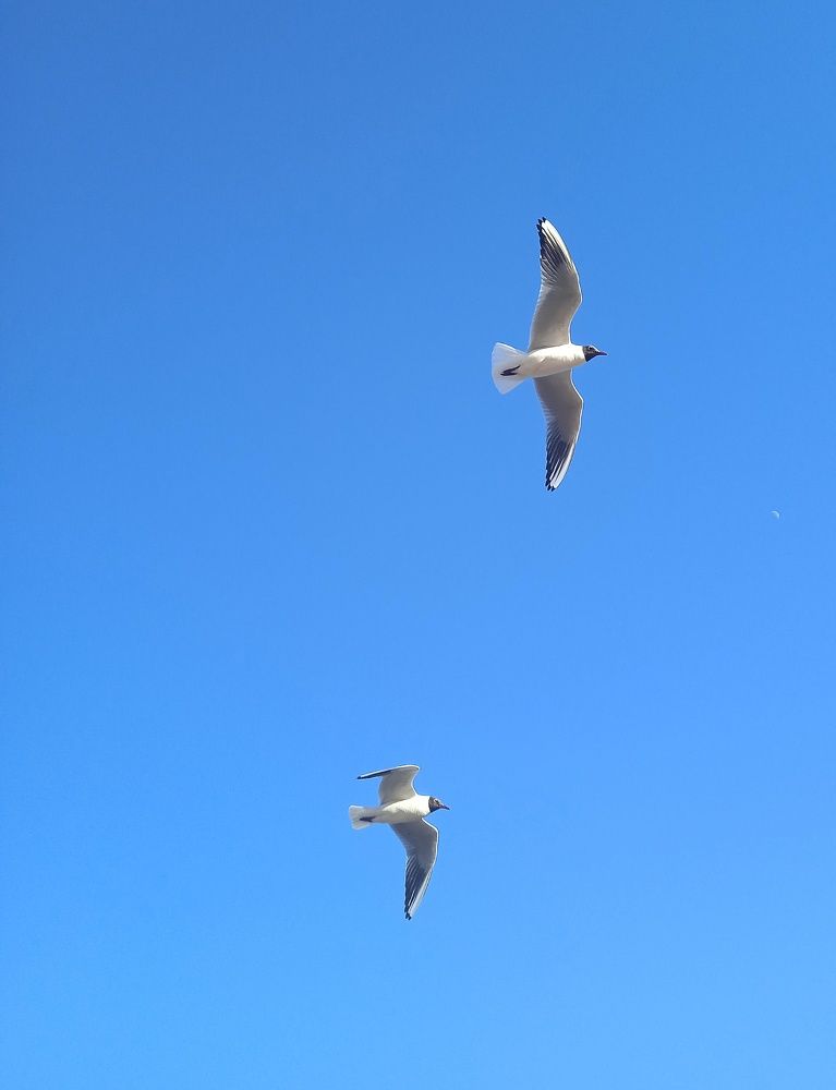 Photograph by Mila Vshivkova