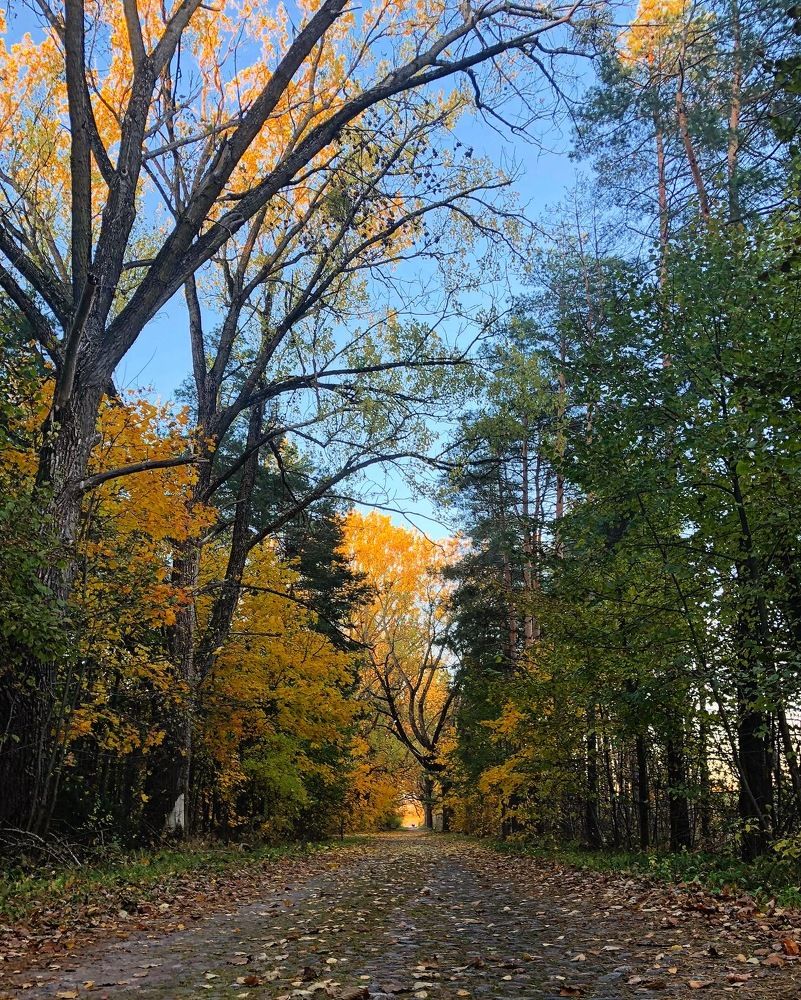 Photograph by Лариса Акинчиц