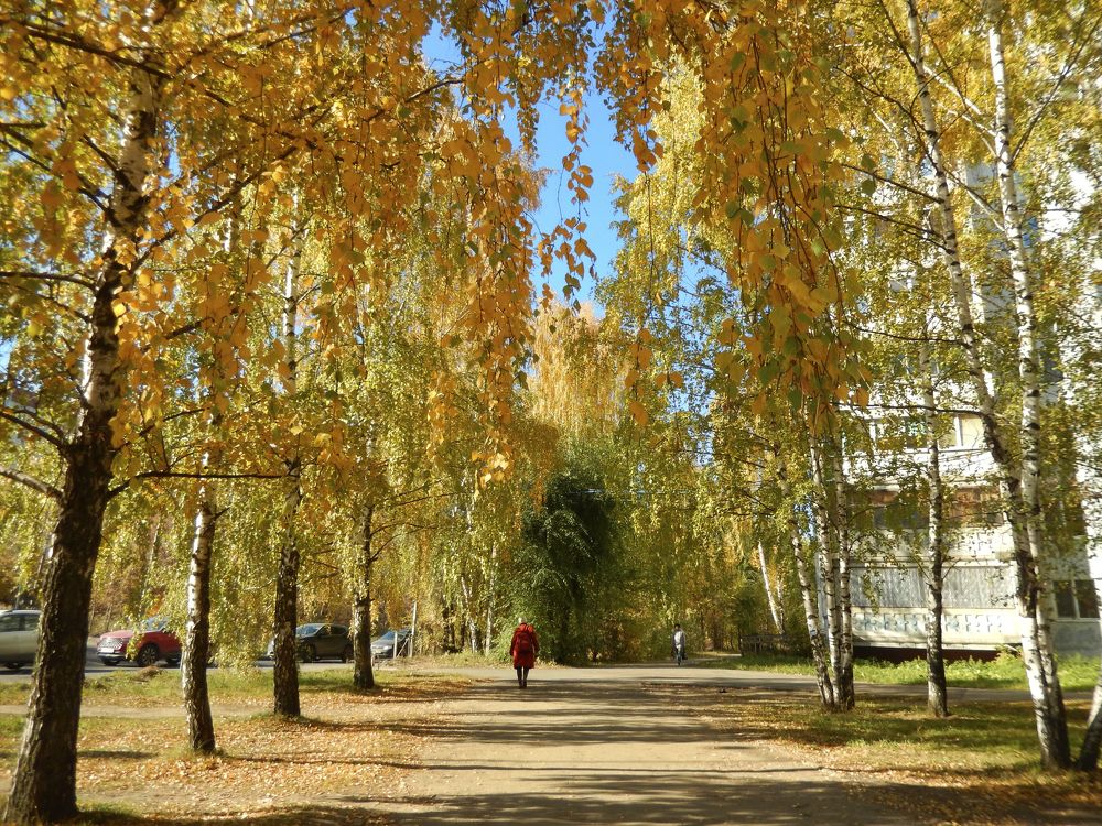 Фотография автора Клавдия Васильева