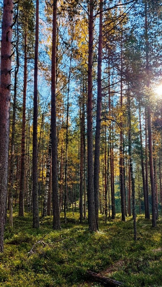 Photograph by Anastasia Uraeva