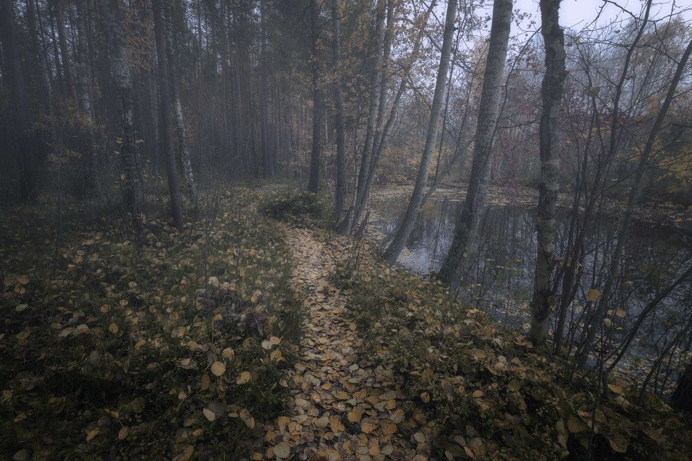 Photograph by Сергей Давлетшин