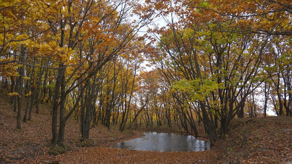 Photograph by Оксана Трофименко