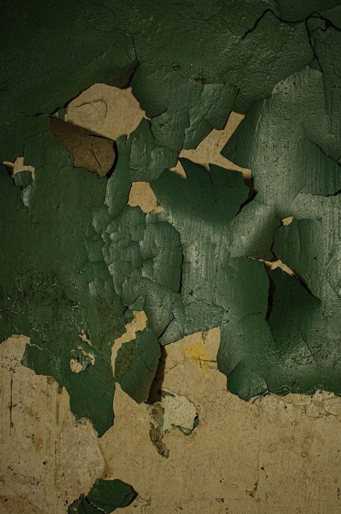 Photograph by Прохор Бездорнов