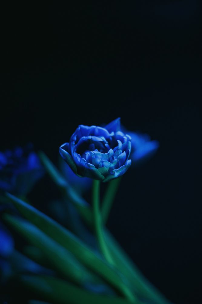 Photograph by Zamira Sozieva