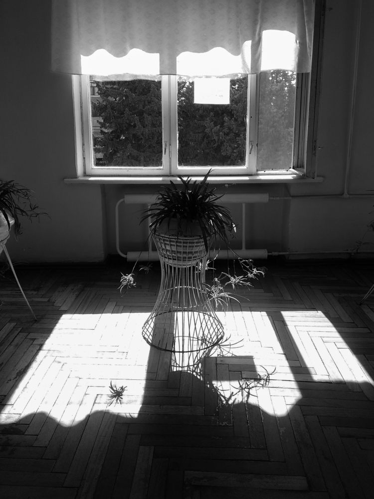 Photograph by Бабек Гасанов