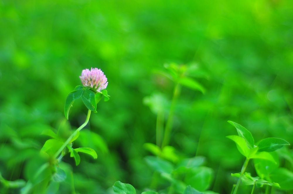 Photograph by Татьяна Ларина