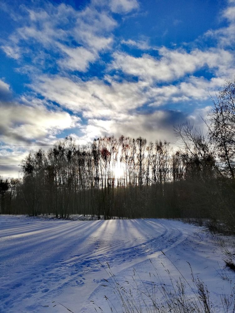 Photograph by Алла Хитрюк