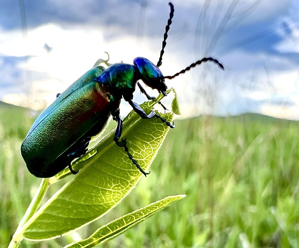 Photograph by Елена Мизина