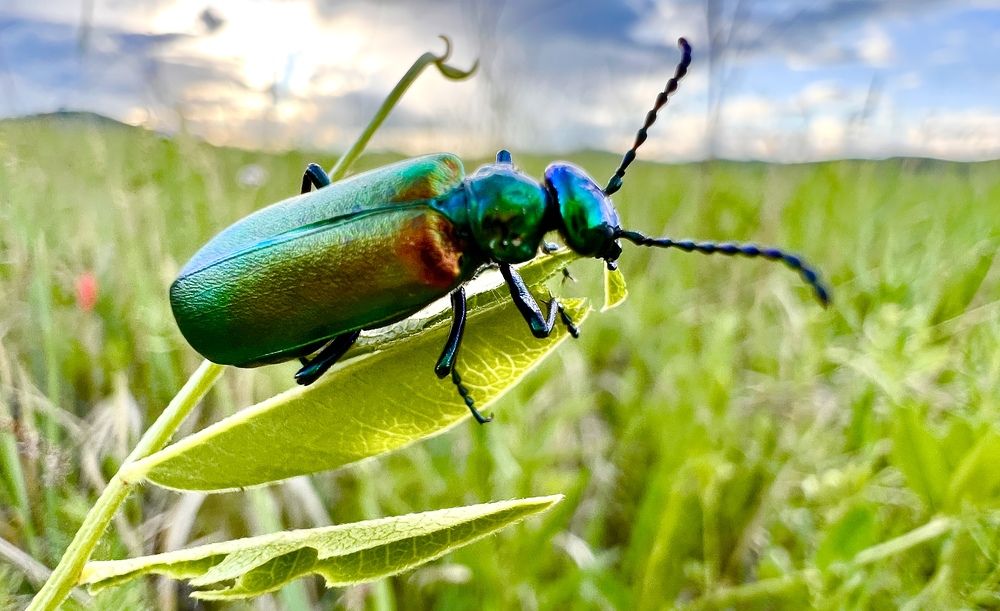 Photograph by Елена Мизина