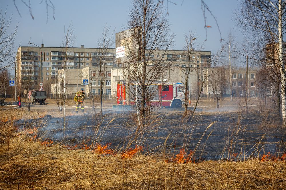 Photograph by Алексей Трифонов