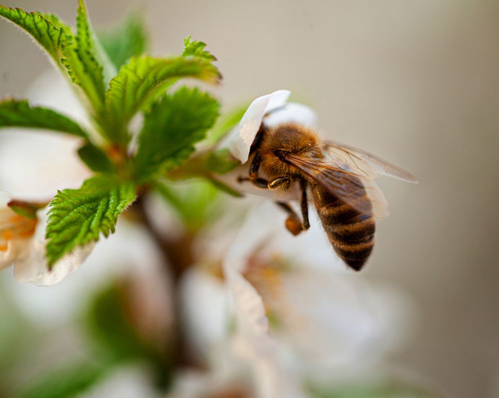 Photograph by Денис Дорошенко