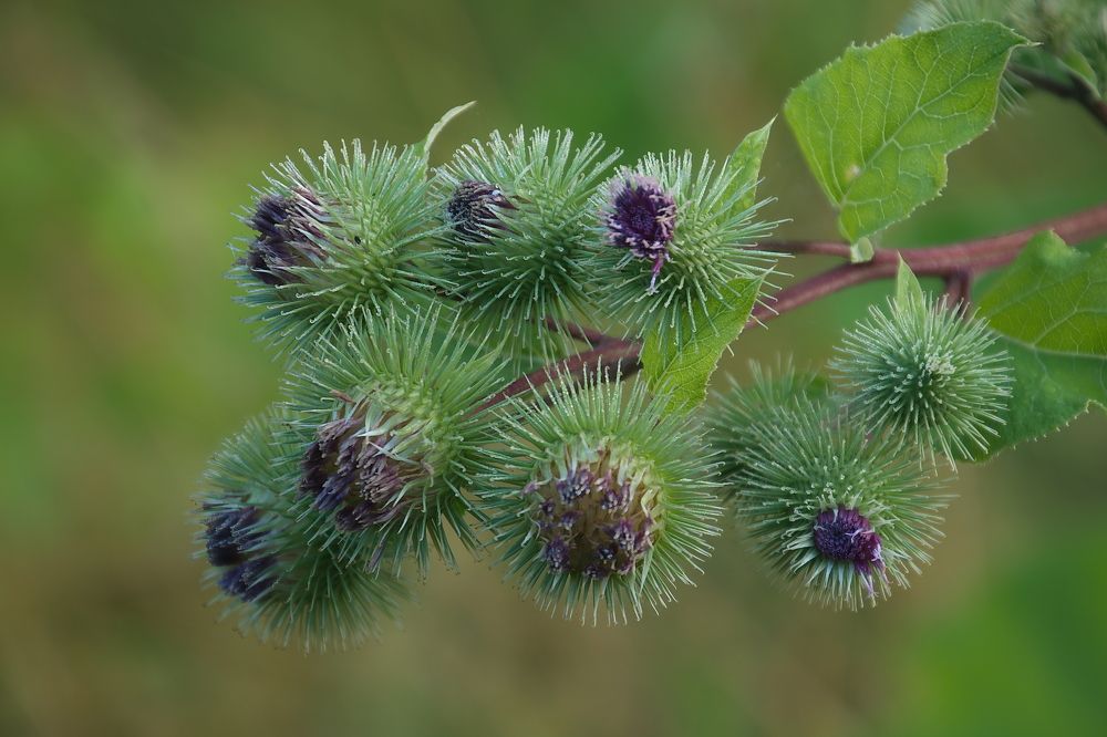 Photograph by Василий Быстрицкий