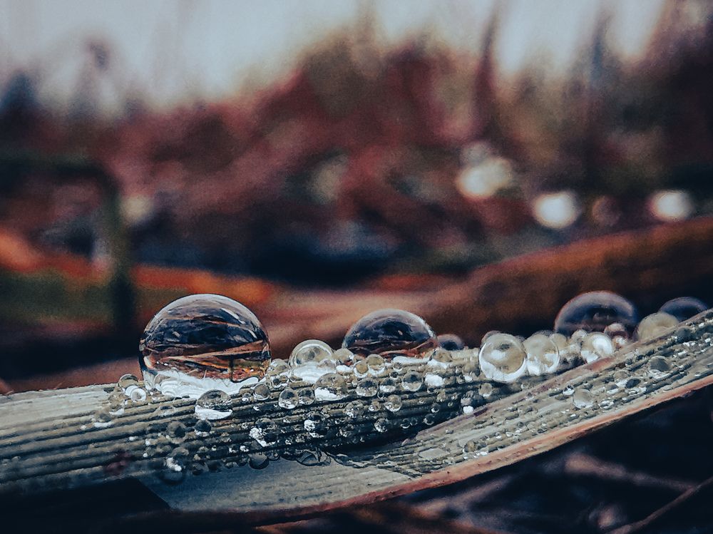 Photograph by Евгений Гусаков