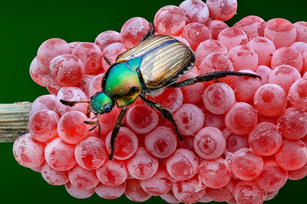 Photograph by Ngọc Trần